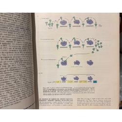The Nature of Life - John H. Postlethwait & Janet L. Hopson 1003405