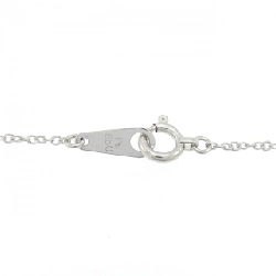 Dây chuyền PT850 - Hàng hiệu Authentic 866258