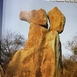 THE NEW SAFARI: DESIGN, DECOR, DETAIL 752181