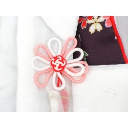 Bộ sản phẩm trẻ em - Hàng hiệu Authentic 878522