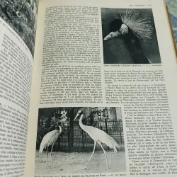La vie des animaux - Larousse 590350