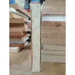 JASMINE NIGHTS - S.P. Somtown 195875