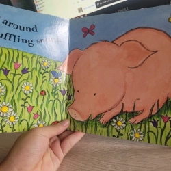Hello Little Piglet  Dawn Apperley 531327
