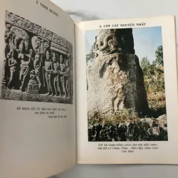 Trầu Cau Việt Điện Thư - Nguyễn Ngọc Chương - Nghiên cứu Văn hóa 706070