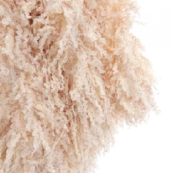 【Khuyến mãi】Chanel CHANEL Áo 643454