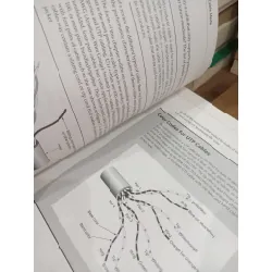 Cabling: The complete guide to network wiring - David Groth, Jim McBee 702618