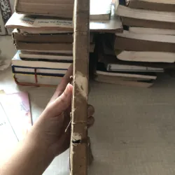 Phan Đình Phùng-Nhà lãnh đạo 10 năm kháng chiến ở Nghệ Tĩnh 975913