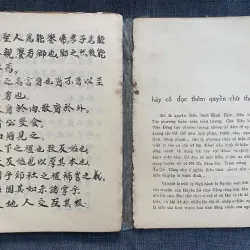 Căn Bản Triết Lý Trong Văn Hóa Việt Nam của triết gia Đa Minh Lương Kim Định.  1034014