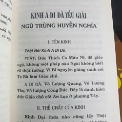Kinh A Di Đà Yếu Giải 702760