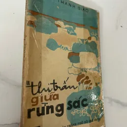Thị trấn giữa rừng Sác - Trần Thanh Giao