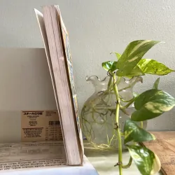 Sách phong thuỷ 751805