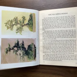 Bonsai 🌿🌿 961565