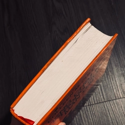 Tiếng chim hót trong bụi mận gai 531087