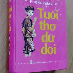 Tuổi thơ dữ dội 