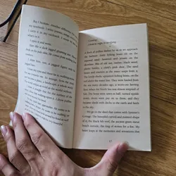 Island from the winner of the guardian children's fiction prize 
 739560