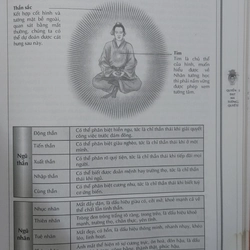 Ma y thần tướng  470813