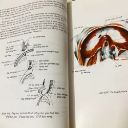 BỘ 2 TẬP GIẢI PHẪU HỌC  799609