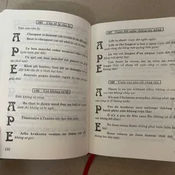 Tục Ngữ So Sánh  717361