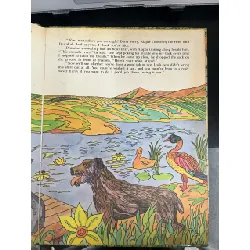 The eagle - Lafit Makhmudov 592966