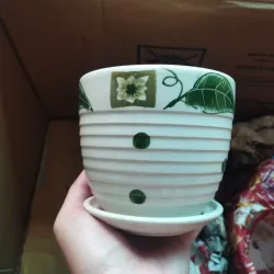 Chậu trồng sen đá