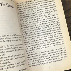 Steal Away Home 972836