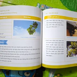 Khám phá thế giới thực vật & Chinh phục văn miêu tả cây cối (bộ 2 tập) 782448