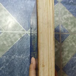 Tình yêu vực thẳm - Erich Maria Remarque 975137