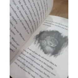 The owl who was afraid of the dark - Jill Tomlinson 675228