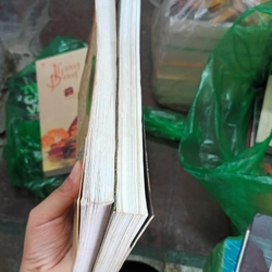 Combo 2c Mãi Mãi Tuổi 20+ Nhật Ký Đặng Thùy Trâm 529197