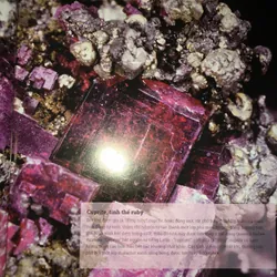 Đá quý và khoáng sản - Bách khoa toàn thư bằng hình ảnh với hơn 1000 mẫu vật  718393