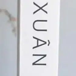 Mùa Xuân Vân Yên 759721