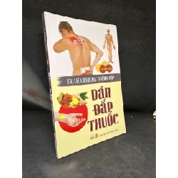 [Phiên Chợ Sách Cũ] Dán Đắp Thuốc - Trị Liệu 30 Bệnh Thường Gặp, 2015 - Lý Nam Sinh S0204-SBM