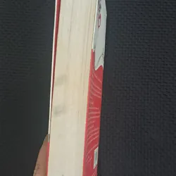 Có cần lấy chồng không? - Ức Cẩm 596225