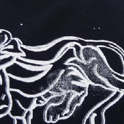 Áo thun CHANEL - Hàng hiệu Authentic 826885