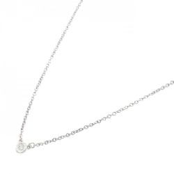 Dây chuyền Tiffany By The Yard - Hàng hiệu Authentic 841559