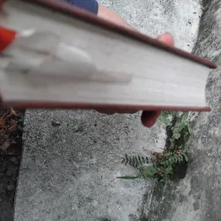 Nhân vật chí Quảng Trị ( Người Quảng Trị ) 1036782