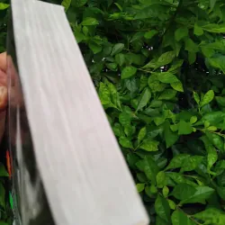 Bố già ( The Godfather ) bản dịch hay nhất của Đặng Phi Bằng  1008252