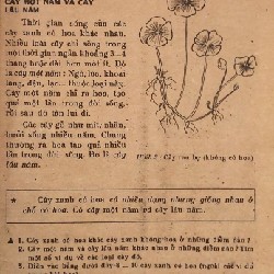 Sinh học lớp 6 xưa 14224