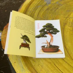 TẠO DÁNG BONSAI ĐẸP - THANH LOAN 759669