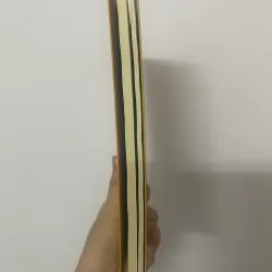 Viết gì cũng đúng - Anthony Weston 600952