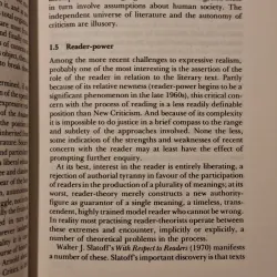 Catherine Belsey - Critical Practice 782807