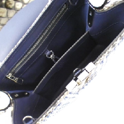 Túi xách Louis Vuitton Exotic Leather Capucines BB N97078 615849