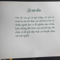 Con Gà Và Quả Trứng 383973