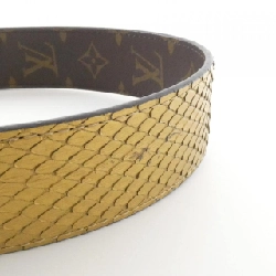 Louis Vuitton Dây đeo vai da kỳ lạ J02336 624523