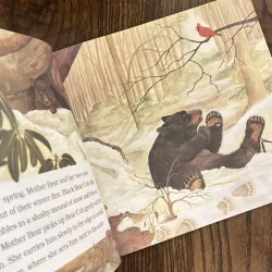 Black Bear Cub 974762