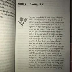 Thông điệp của các chân sư 734491