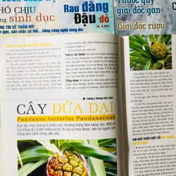 3. LÔ BÁO Y HỌC PHỔ THÔNG  541728