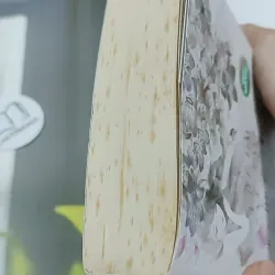 Gió Mang Ký Ức Thổi Thành Những Cánh Hoa - Diệp Lạc Vô Tâm 744749