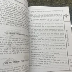 Diện tướng toàn biên Thanh Y Đạo 713206