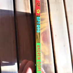 Sách ngoại văn - Spydog - Superbrain - Tác giả: Andrew Cope 713470